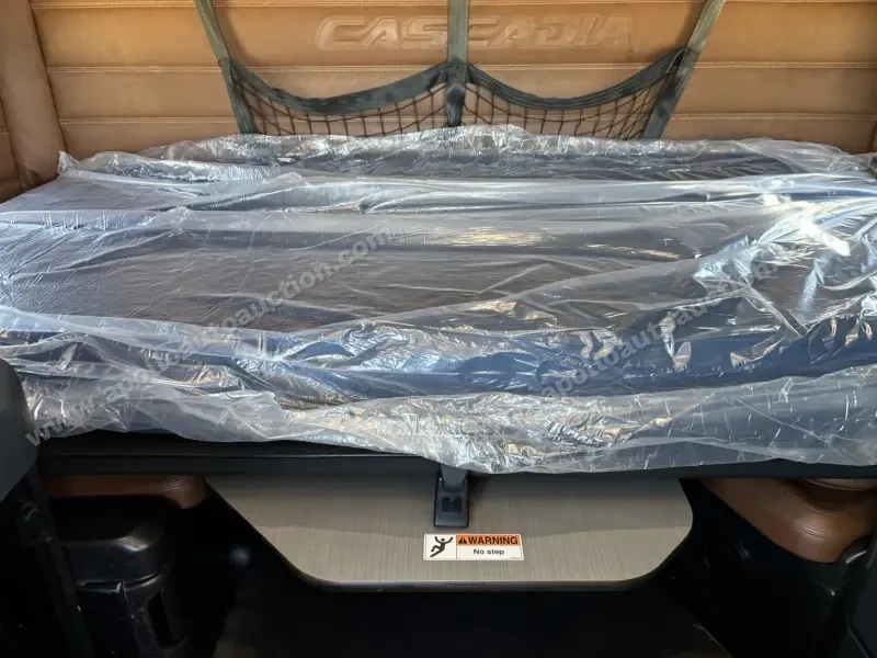 2020 Freightliner Cascadia 126 photo 14
