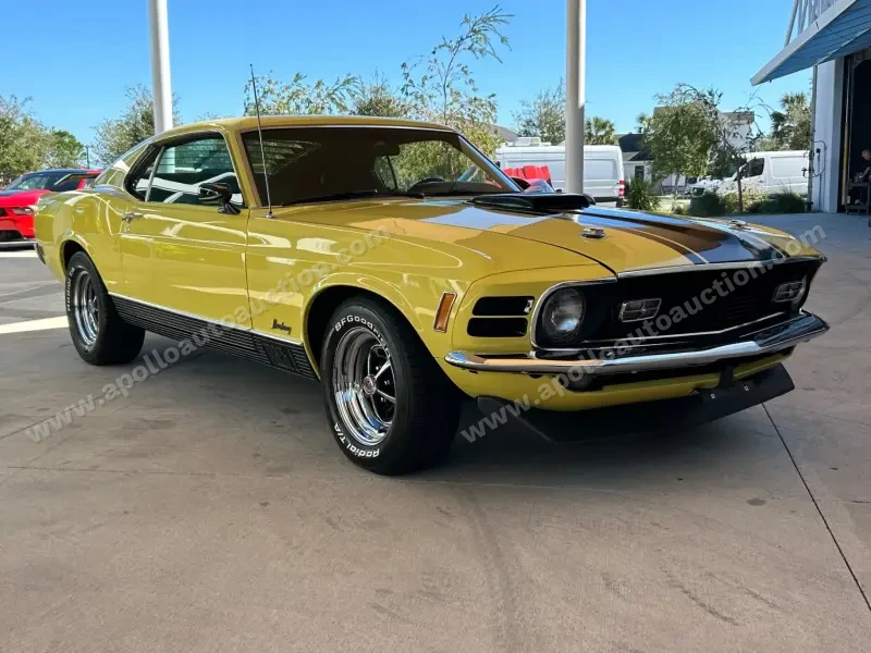 1970 Ford Mustang Mach 1 photo 38