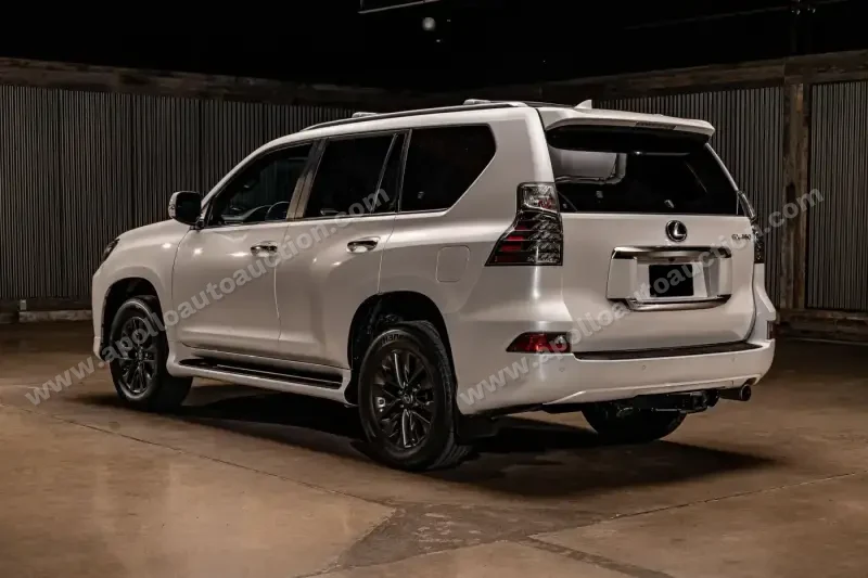 2021 Lexus GX 460 photo 28