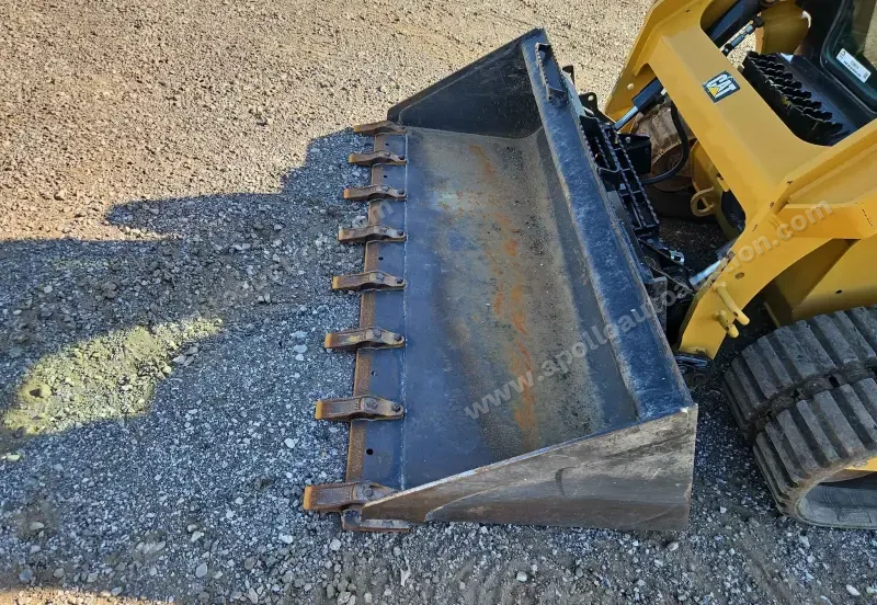 2019 Caterpillar 239D photo 14