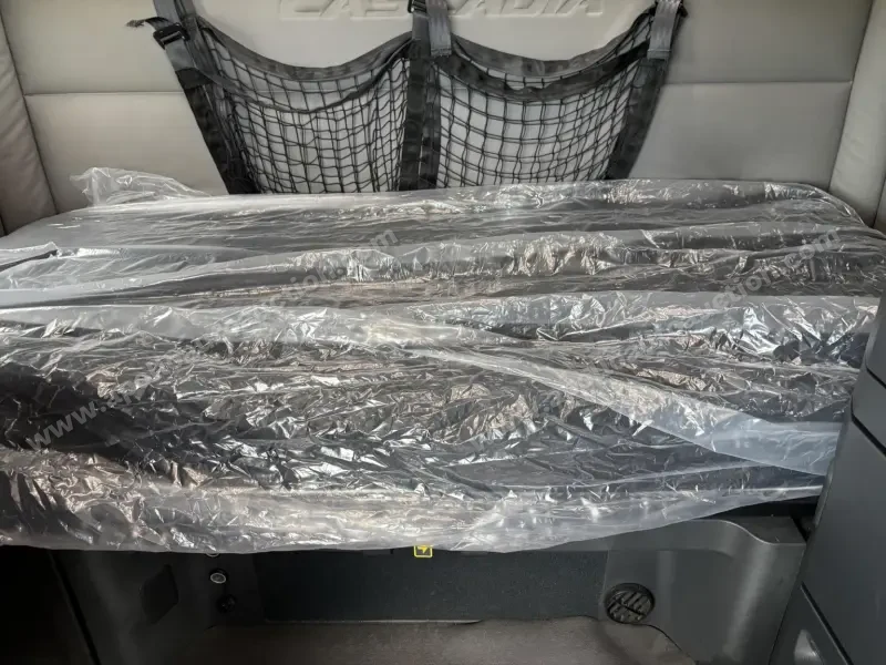 2020 Freightliner CASCADIA 126 Sleeper photo 18