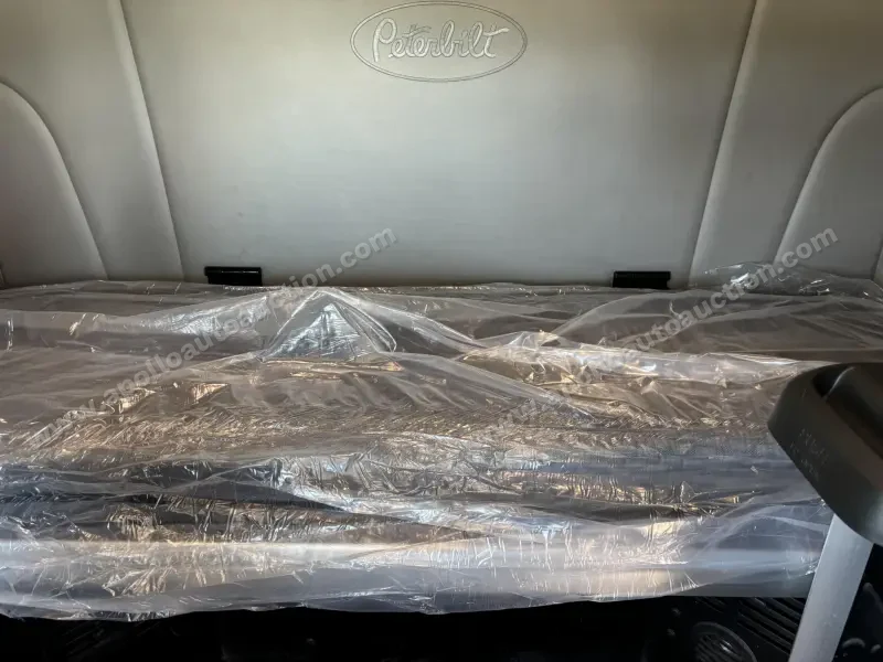 2019 Peterbilt 579 photo 19