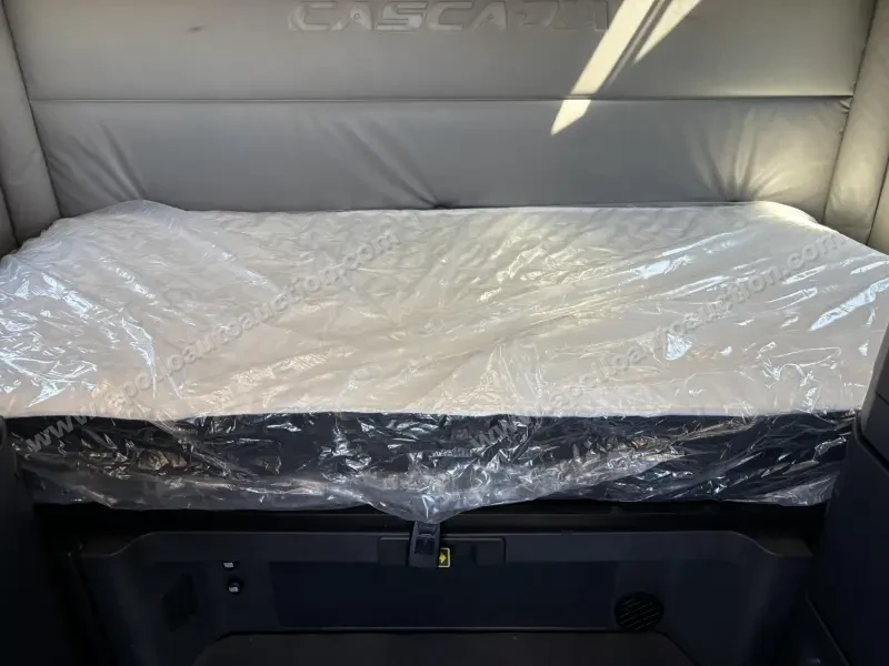 2022 Freightliner CASCADIA 126 photo 10