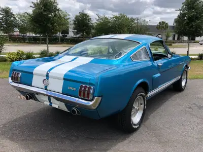 Photo 42